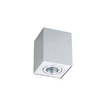 Потолочный светильник Maytoni C017CL-01S Alfa