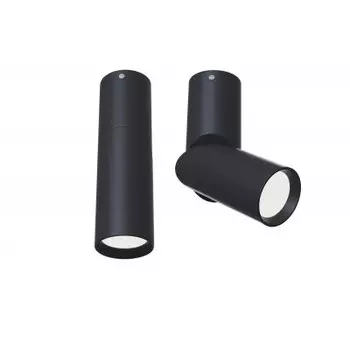 Потолочный светильник Maytoni C027CL-L10B Dafne