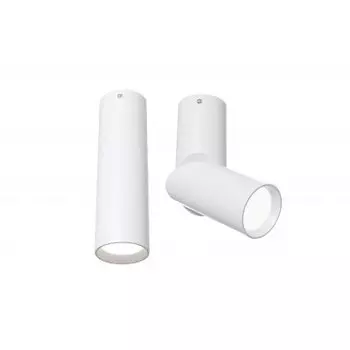 Потолочный светильник Maytoni C027CL-L10W Dafne