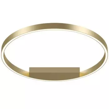 Потолочный светильник Maytoni MOD058CL-L35BS4K Rim