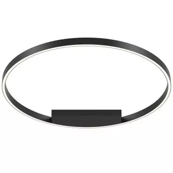 Потолочный светильник Maytoni MOD058CL-L50B4K Rim