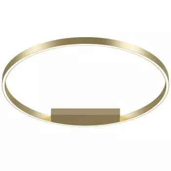 Потолочный светильник Maytoni MOD058CL-L50BS4K Rim