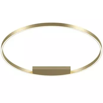 Потолочный светильник Maytoni MOD058CL-L65BS4K Rim