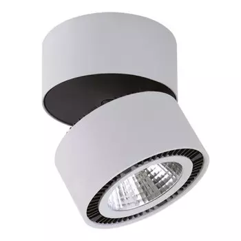 Светильник накладной светодиодный Lightstar 214859 Forte Muro