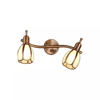 Светильник настенно-потолочный Citilux CL522621 Альтен-2