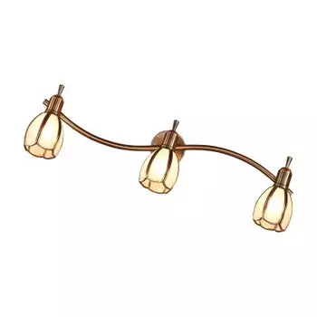 Светильник настенно-потолочный Citilux CL522631 Альтен-2