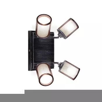 Светильник настенно-потолочный Citilux CL535541 Робин