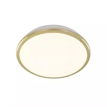 Светильник настенно-потолочный Citilux CL702162W Луна