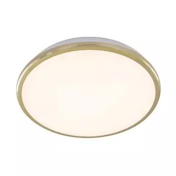 Светильник настенно-потолочный Citilux CL702222W Луна