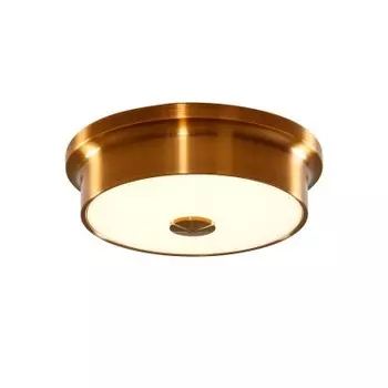 Светильник настенно-потолочный Citilux CL706212 Фостер-2