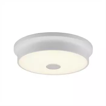 Светильник настенно-потолочный Citilux CL706220 Фостер-2