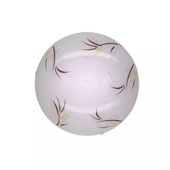 Светильник настенно-потолочный Citilux CL918009 Ива