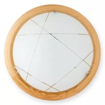 Светильник настенно-потолочный Karen TL9013Y-02PN Toplight