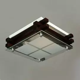 Светильник настенно потолочный Omnilux OML-40507-02 Carvalhos