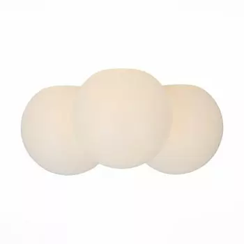 Светильник настенно-потолочный St luce SL809.501.03