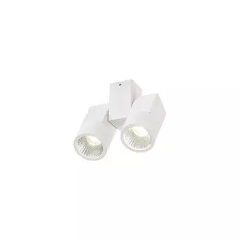 Светильник настенный бра Citilux CL556100 Дубль