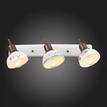 Светильник настенный бра St luce SL261.501.03