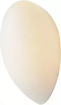 Светильник настенный St luce SL507.551.01