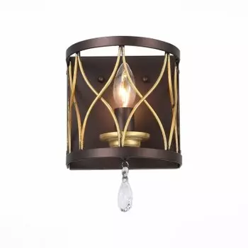 Светильник настенный St luce SL789.421.01