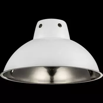 Светильник подвесной Globo 15231 JUERGEN