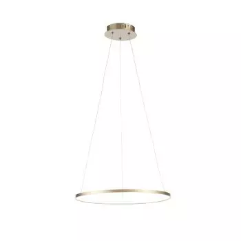Светильник подвесной St luce SL904.203.01 ERTO