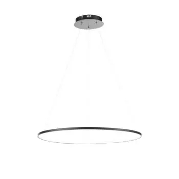 Светильник подвесной St luce SL904.413.01 ERTO
