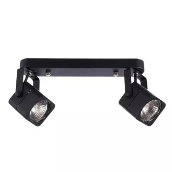 Светильник потолочный Arte lamp A1314PL-2BK LENTE
