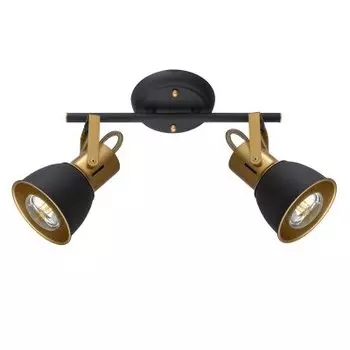 Светильник потолочный Arte lamp A1677PL-2GO JOVI