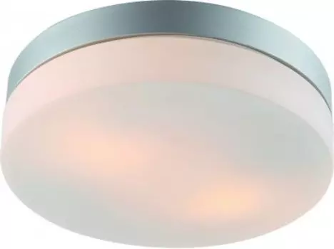 Светильник потолочный Arte lamp A3211PL-2SI AQUA