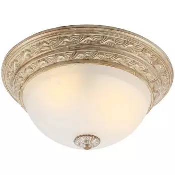 Светильник потолочный Arte lamp A8013PL-2WA Piatti