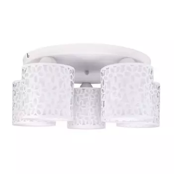 Светильник потолочный Arte lamp A8349PL-5WH Traforato
