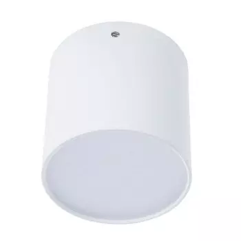 Светильник потолочный Divinare 1463/03 PL-1 белый TUBO