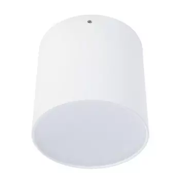 Светильник потолочный Divinare 1465/03 PL-1