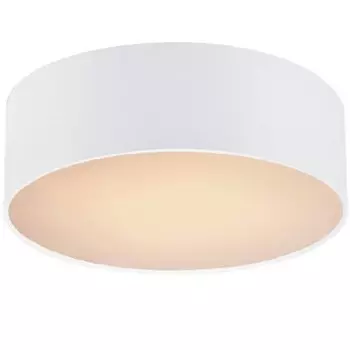 Потолочная люстра Favourite 1515-2C Cerchi