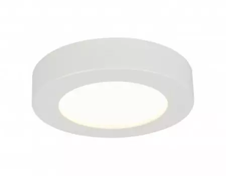 Светильник потолочный Globo Paula 41605-20D