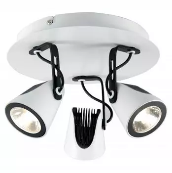 Светильник потолочный Lussole Loft LSN-4101-03