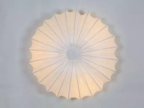 Светильник потолочный St luce SL351.052.05