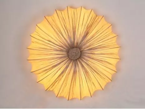 Светильник потолочный St luce SL351.072.05
