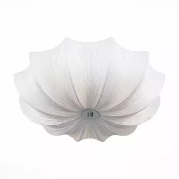 Светильник потолочный St Luce SL358.502.05