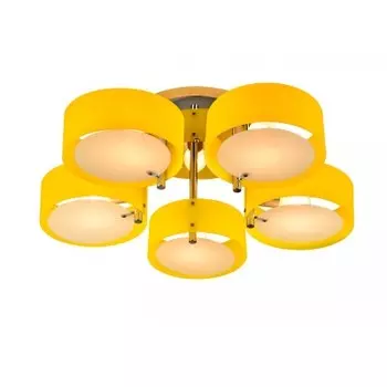 Светильник потолочный St luce SL483.092.05