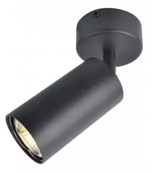 Светильник поворотный Arte Lamp A3216PL-1BK AQUARIUS