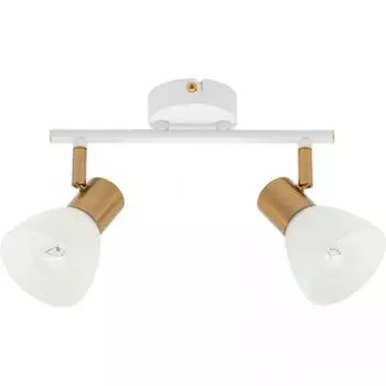 Светильник поворотный двойной Arte lamp A3117PL-2WH FALENA