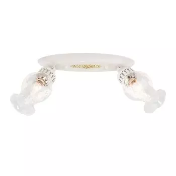 Светильник поворотный спот Citilux CL413122 Метафора