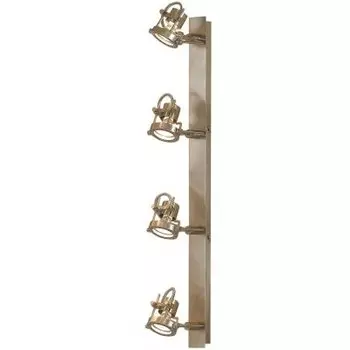 Светильник поворотный спот Citilux CL515541 Терминатор