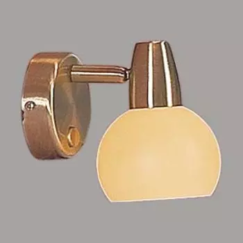 Светильник поворотный спот Citilux CL516513 Бонго