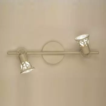 Светильник поворотный спот Citilux CL519525 Винон