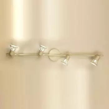 Светильник поворотный спот Citilux CL519545 Винон