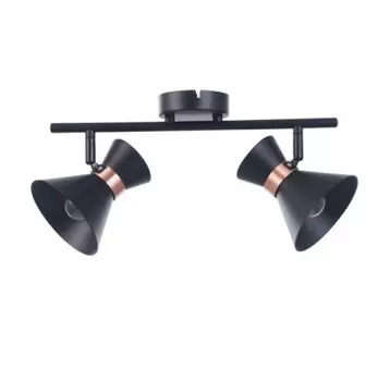 Светильник поворотный спот Freya FR4273-CW-02-B Izzy