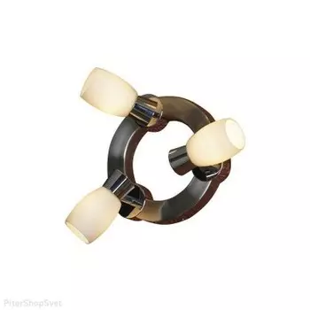 Светильник поворотный спот Lussole LSQ-2601-03 SCALERA