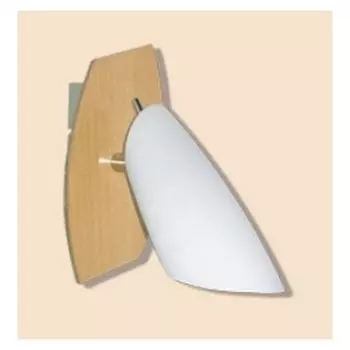 Светильник спот Citilux CL508511